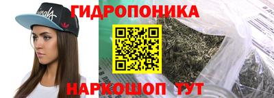 spice Новозыбков