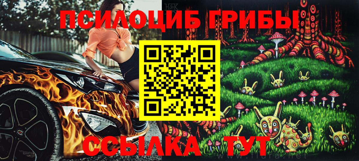 Галлюциногенные грибы Cubensis  Галлюциногенные грибы Cubensis  Феодосия  Вход с VPN 